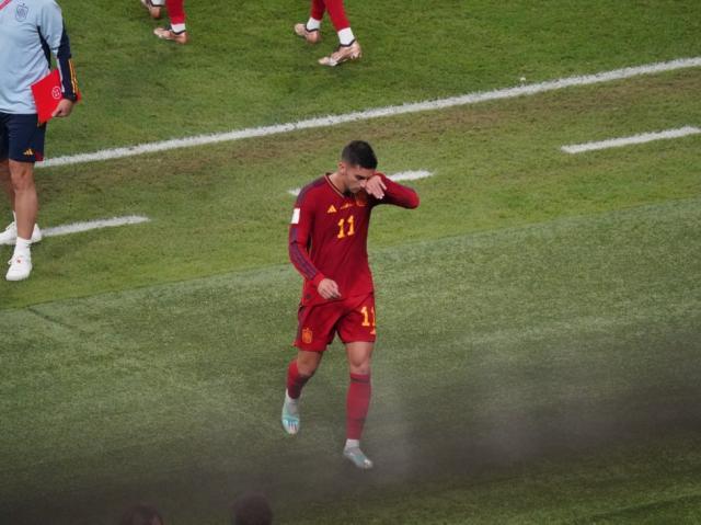 1669953678031095196.jpg mmexport1669937347090.jpg